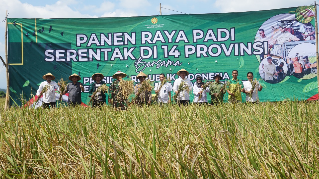 Dandim 0736/Batang Secara Langsung Hadiri Panen Raya Serentak Desa Depok