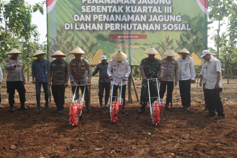 Dandim Batang Hadiri Penanaman Jagung Serentak Kuartal III dan Penanaman di Lahan Perhutanan Sosial