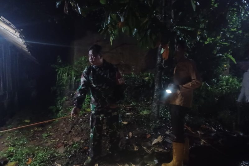 Pengukuran skets polygan peta oleh divisi regional Jateng di area tanah Perhutani Desa Sentul Kec.Gringsing
