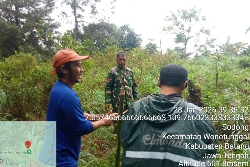 Babinsa Koramil 08/Wonotunggal melaksanakan peninjauan lahan Perhutani dalam rangka penyediaan KDKMP di Desa Sodong Kec.Wonotunggal Kab.Batang