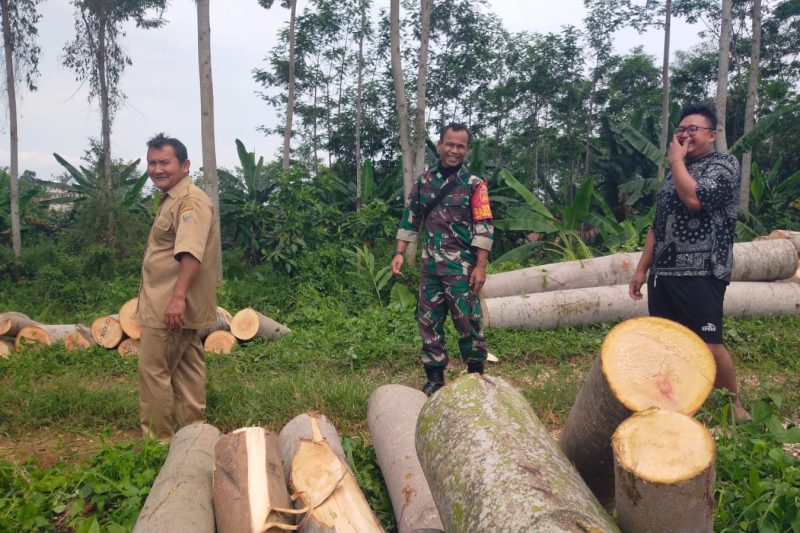 Anggota Babinsa Koramil 08/Wonotunggal melaksanakan patroli wilayah dan komunikasi sosial di wilayah Kec.Wonotungal Kab.Batang