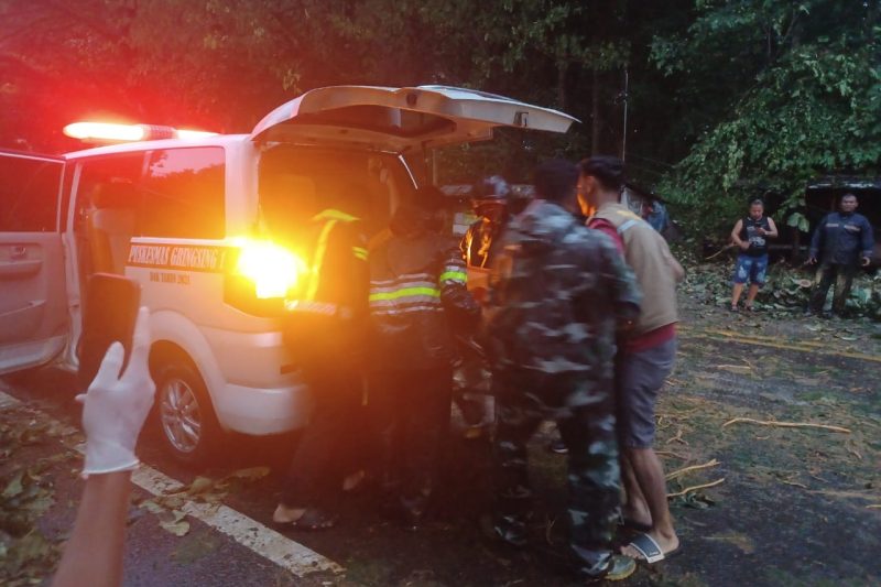 Babinsa koramil 03/gringsing melaksanakan kegiatan evakuasi bencana angin besar di desa surodadi kec. gringsing kab. batang