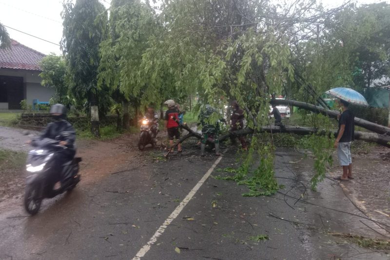 BABINSA KORAMIL 08/ WONOTUNGGAL MELAKSANAKAN KEGIATAN EVAKUASI BENCANA ANGIN BESAR DIWILAYAH KEC.WONOTUNGGAL KAB.BATANG