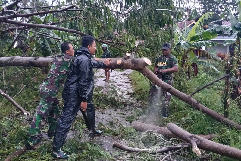 BABINSA KORAMIL 12/ TULIS MELAKSANAKAN KEGIATAN EVAKUASI BENCANA ANGIN BESAR DIDESA JATISARI KEC. TULIS KAB. BATANG