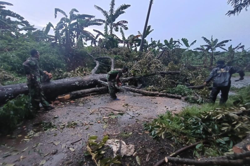 BABINSA KORAMIL 12/TULIS MELAKSANAKAN KEGIATAN EVAKUASI BENCANA BESAR DIDESA KENCONOREJO KEC. TULIS KAB. BATANG