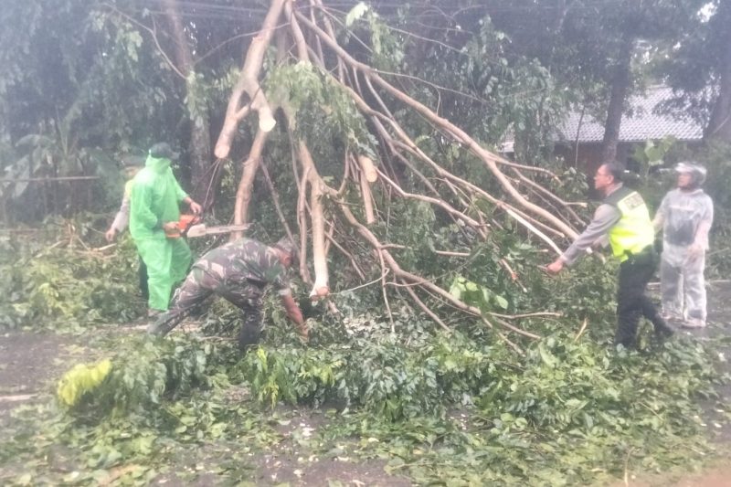BABINSA KORAMIL 10/BATANG MELAKSANAKAN KEGIATAN EVAKUASI BENCANA ANGIN BESAR DI DESA CEPOKOKUNING KEC. BATANG KAB. BATANG