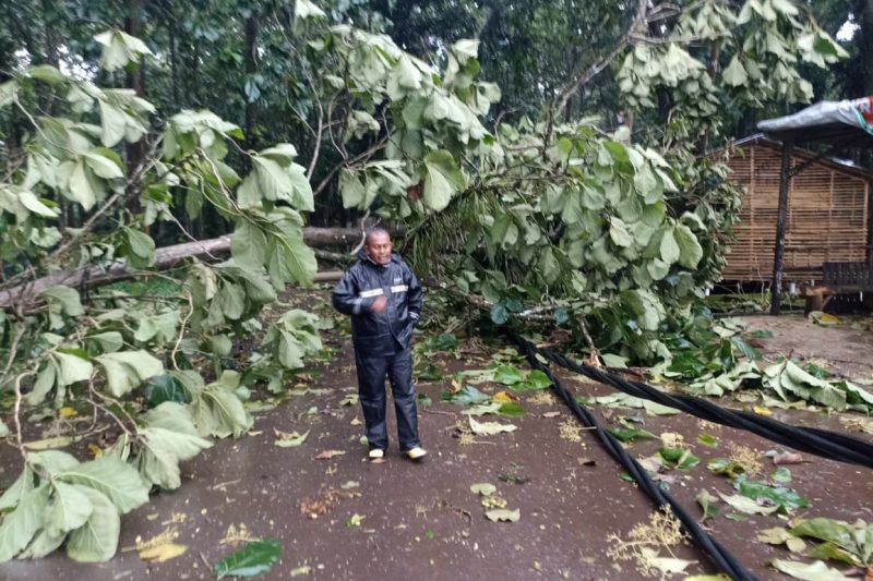 BABINSA KORAMIL 01/SUBAH MELAKSANAKAN KEGIATAN EVAKUASI BENCANA ANGIN BESAR DI DESA SUBAH KEC. SUBAH KAB. BATANG
