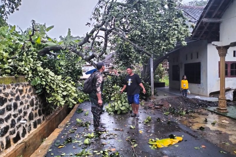 BABINSA KORAMIL 11/WARUNGASEM MELAKSANAKAN KEGIATAN EVAKUASI BENCANA ANGIN BESAR DI KEC. WARUNGASEM KAB. BATANG