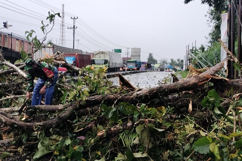 BABINSA KORAMIL 13/BANYUPUTIH MELAKSANAKAN KEGIATAN EVAKUASI BENCANA ANGIN BESAR DI KEC. BANYUPUTIH KAB, BATANG